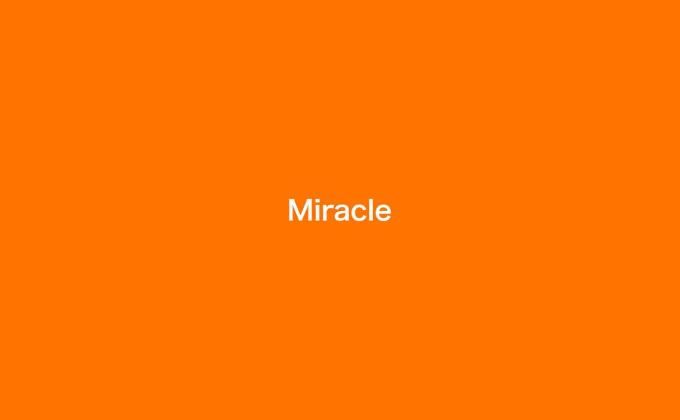 ノマル創立30周年記念企画の最後を飾る、26名（組）によるグループ展「30th – Miracle vol.5 / Miracle」