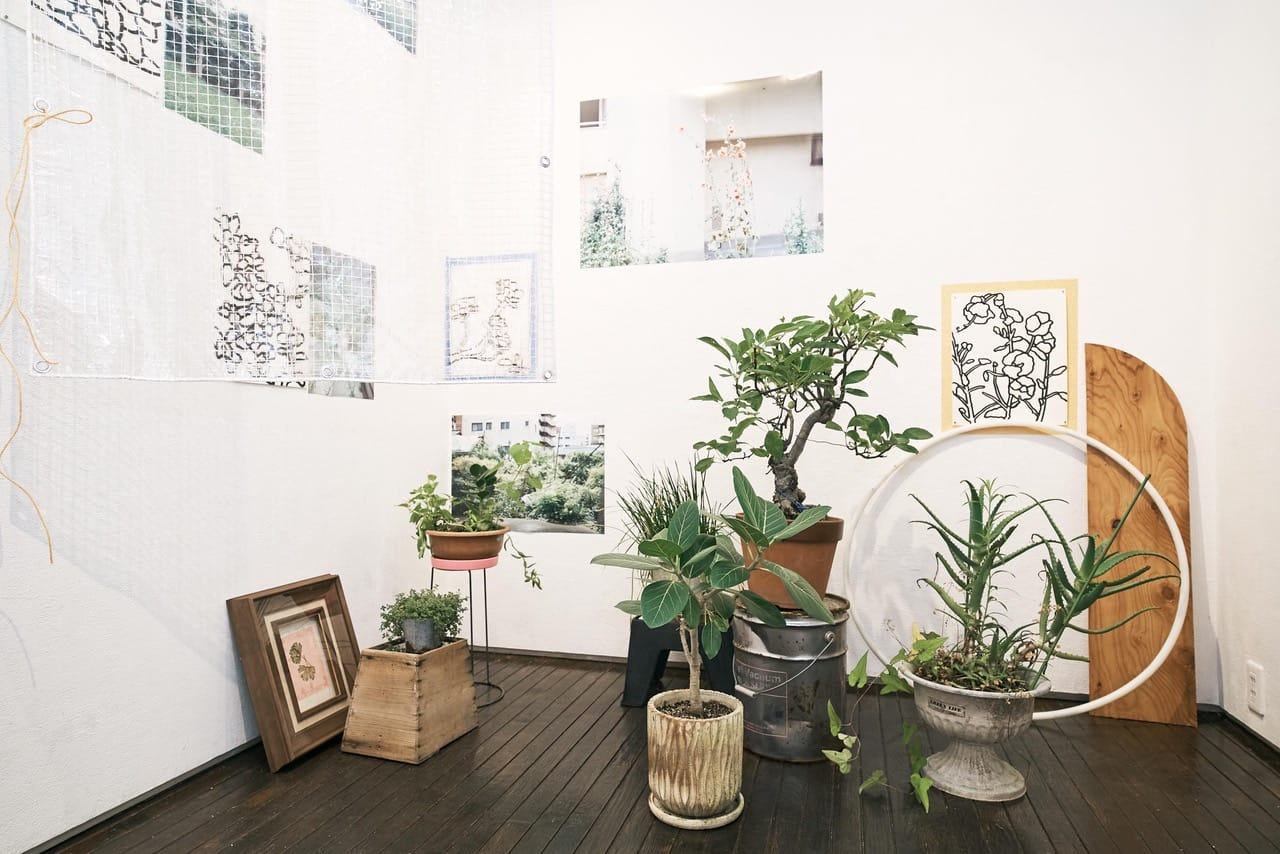 写真、絵、植物が呼応する展覧会「_ plants plain planet _」と複数の持ち寄り企画からなる「8月のピクニック」、iTohenにて開催