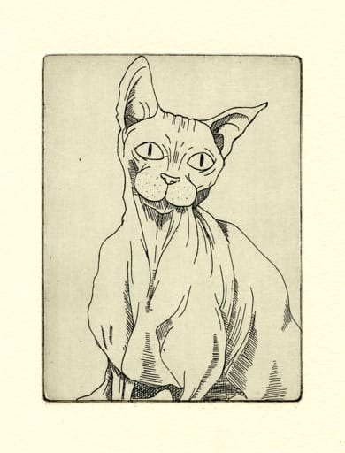 存在の痕跡と気配をテーマに絵画作品を制作する若手作家・小谷くるみの個展「砂から星へ」、ギャラリーノマルにて。作家初となる銅版画を使用した作品やインスタレーション作品などを展示。