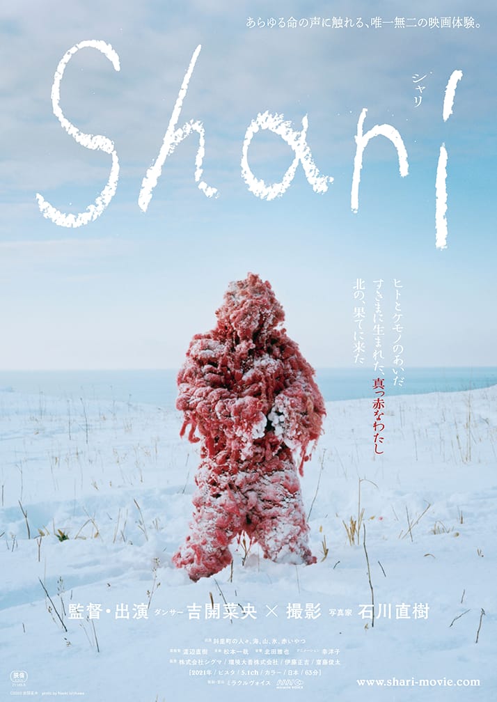 知床・斜里を舞台に、映画作家・ダンサーの吉開菜央と写真家の石川直樹がタッグを組んで制作。映画『Shari』、第七藝術劇場にて上映。