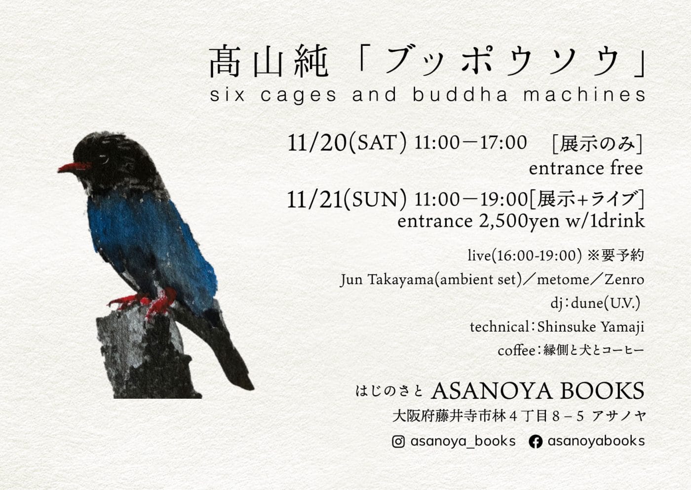 アサノヤブックスにて、髙山純「ブッポウソウ」。鳥籠を使った空間演出・インスタレーションとアンビエントライブ。