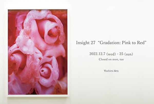 展覧会「Insight 27 “Gradation: Pink to Red”」、Yoshimi Artsにて開催。10名の作家のピンクもしくは赤を含む作品を展示。