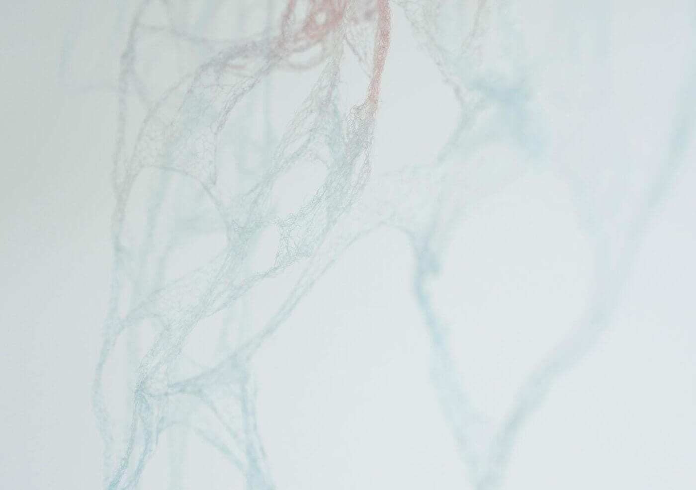 編むという行為により繊細な造形をつくり出す谷口聡子の作品展「自己に由る 」、GULIGULIにて。
