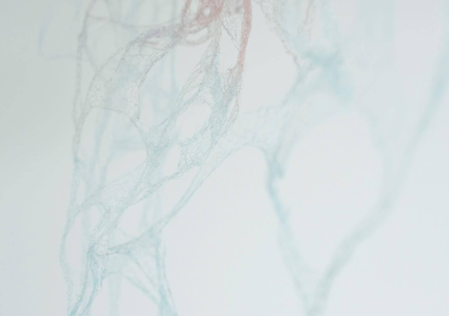 編むという行為により繊細な造形をつくり出す谷口聡子の作品展「自己に由る 」、GULIGULIにて。