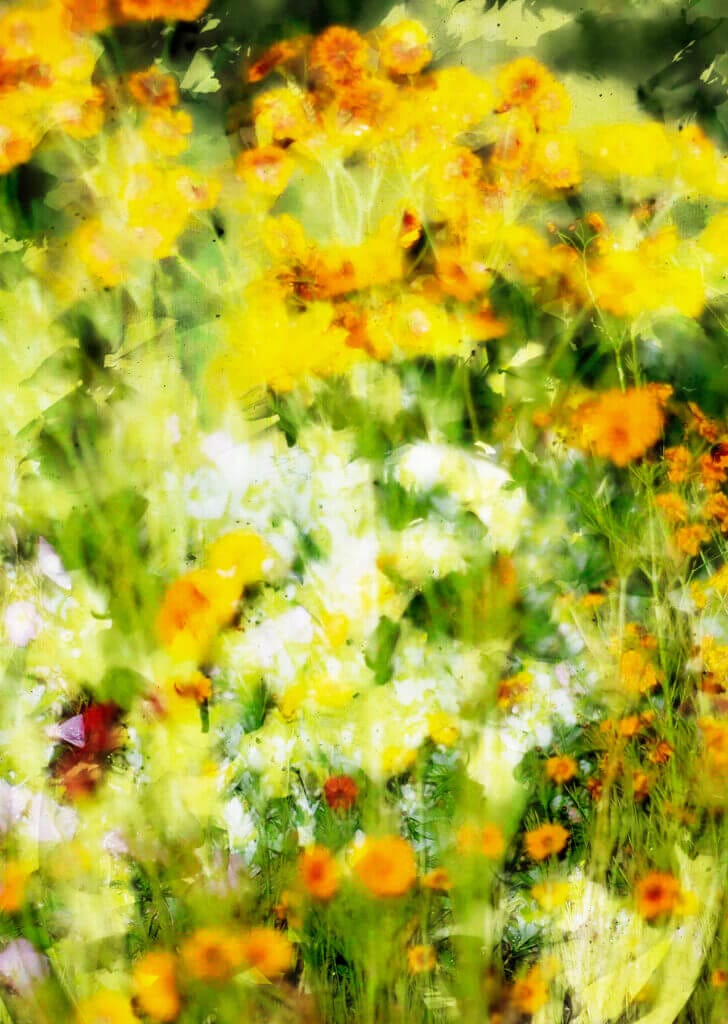 黒田和男の写真展「gift」、ギャラリー・ソラリスにて。花をモチーフにした作品を、その場で製本し購入できる「花屋」のような展覧会。