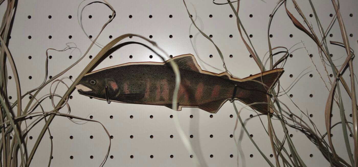 REPORT｜NAWAによる体験型展示「メディア・アート×生物多様性の保全」。近畿大学にて、未来に残したい“絶滅危惧種”の魚たちへの気づきを与える、はじめての試み。