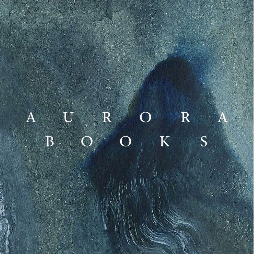 上林絵里奈による本の活動・AURORA BOOKSが丹波篠山市に実店舗をオープン。生き生きと世界を感じるための本との出会いをつくる。